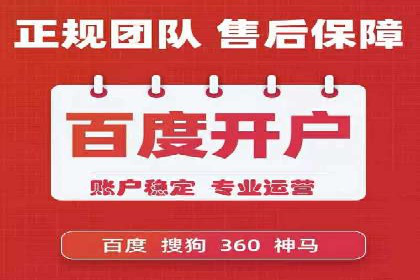 SEM公司案例分享：优化效果与转化率提升策略